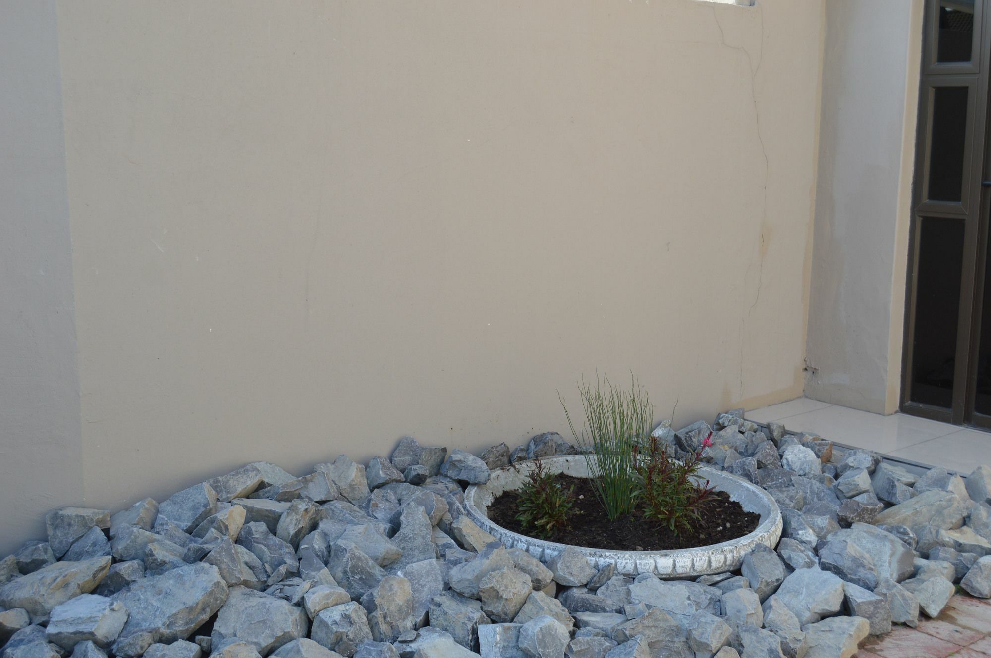Shalimar B&B Cape Town Dış mekan fotoğraf